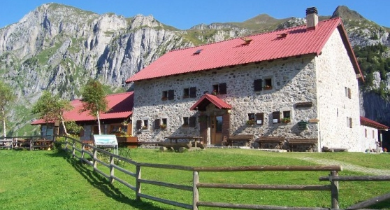 Friuli: contributi per i giovani agricoltori.