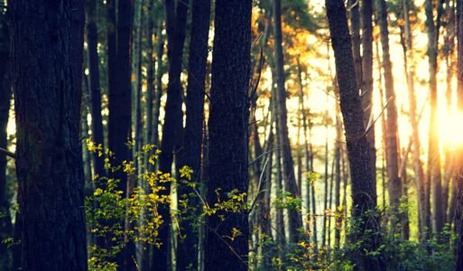 Un manifesto per la montagna