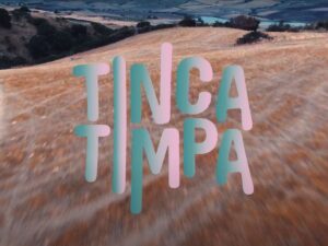 Il logo del Tinca Timpa festival