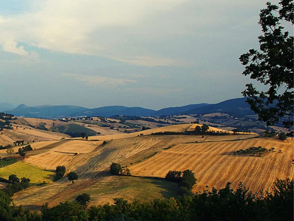 Un nuovo gruppo regionale nelle Marche