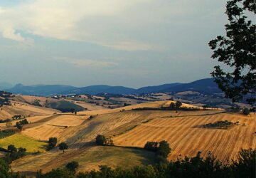 Un nuovo gruppo regionale nelle Marche