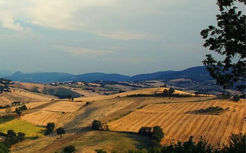 Un nuovo gruppo regionale nelle Marche