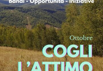 opportunità di ottobre