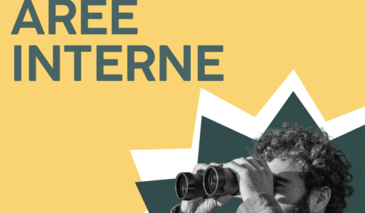ERASMUS DELLE AREE INTERNE: OPEN CALL